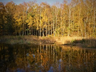 autumn lake
