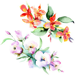 Bouquet flowers. Watercolor background set. Watercolour drawing isolated bouquet illustration element.