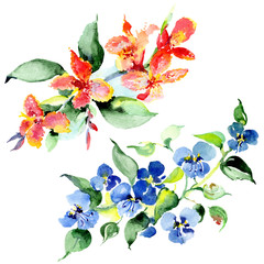 Fototapeta na wymiar Bouquet flowers. Watercolor background set. Watercolour drawing isolated bouquet illustration element.