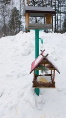 bird feeders in winter