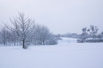 Fototapeta na wymiar Winter in Malmö with snow