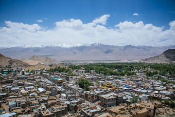 Landscape of Leh city and mountain