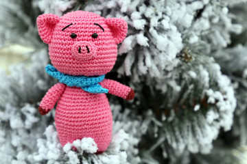 Chinese New Year of Pig, Zodiac symbol 2019. Knitted toy pig on background of snow covered fir branches, Christmas card