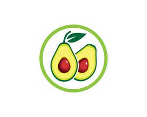 avocado illustration vector template