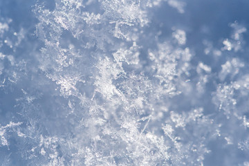 新雪の結晶