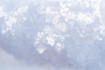 新雪の結晶