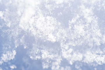 新雪の結晶