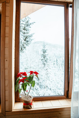 window with red flowers and beautiful view
