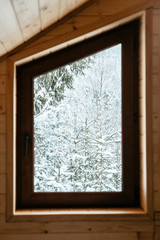 window with beautiful winter view