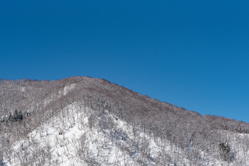 冬の里山