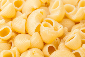 shell pasta in bowl, isolated on white background
