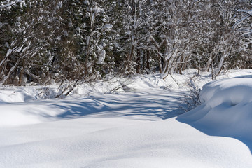 雪に埋もれた沢