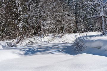 雪に埋もれた沢