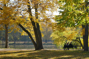 Fototapeta premium autumn in the park