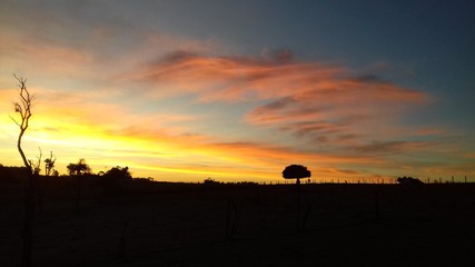 Fototapeta na wymiar sunrise over field