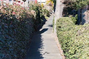 町の小路