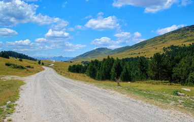 Fototapeta na wymiar Road to Montgarri in the mountains of Aran Valley in summer