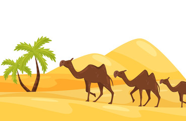 Cartoon landscape of hot desert with three brown camels, green palm trees and large sandy hills. Flat vector design