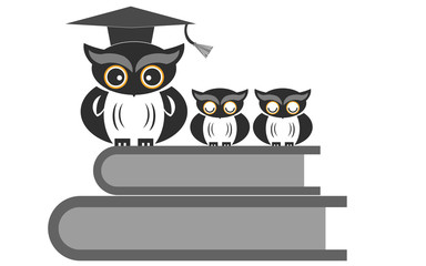 Owl sitting on books isolated