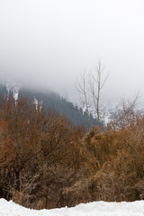 Obraz na płótnie Canvas worsening weather of the mountains