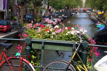 Fototapeta na wymiar Amsterdam summer