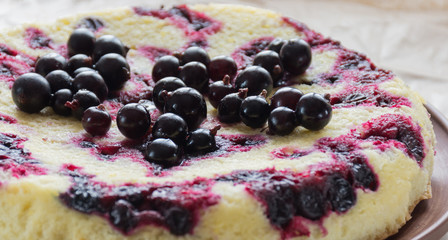 Close up of homemade berry cake on brown plate and baking paper. Shallow focus. Soft light