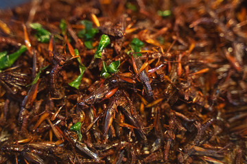 Fried insects, in the walking street market, Phuket Thailand