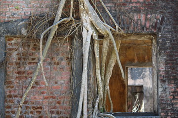 Dilapidated building