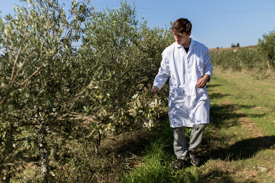 Young farmer man with white coat examining an olive production