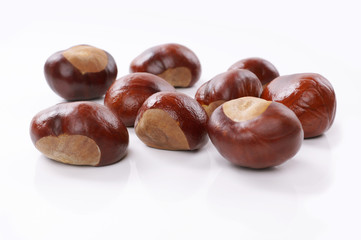group of chestnuts or conkers on white background