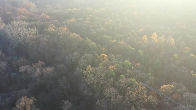 brzeg rzeki z lotu ptaka widok na rzekę i jesienny las o zachodzie słońca