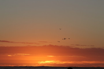Coucher de soleil sur le bassin d'arcachon
