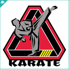 Karate high kick emblem. Martial art colored simbol design. Vector, EPS.