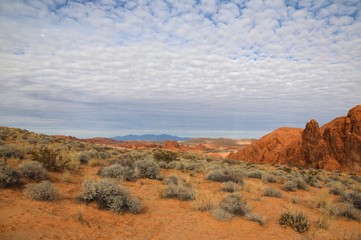Distant view of a desert landscape 