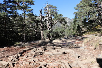 Pont d'Espagne site naturel des Pyrénées