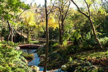 Bridge in Park