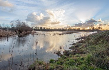 Reflections in the mirror smooth water surface of wide creek in the Dutch National Park Biesbosch, North Brabant. In the background crepuscular rays are visible in the sky.