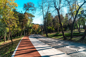 Path in Natural Park