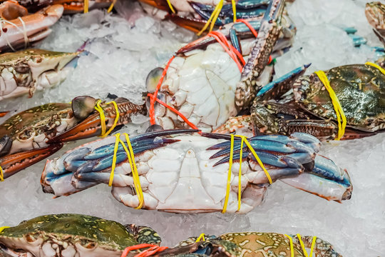 Sea crab  big size and are sold in supermarkets