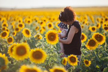 Mother and Daughter Sunflower