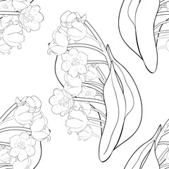 seamless pattern flower lily of the valley.  illustration