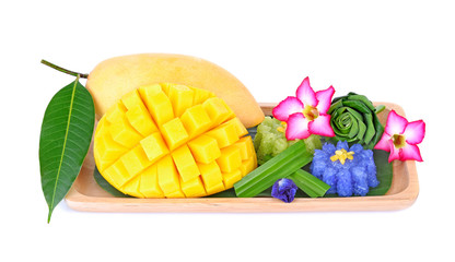 mango and rice blue isolated on white background