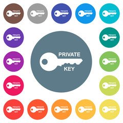 Private key flat white icons on round color backgrounds