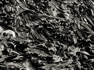 Nature in New Zealand. South Island