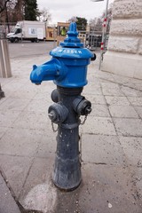 Fire hydrant on the street of Vienna.