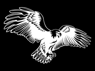Eagle emblem isolated on white illustration. American eagle. Bird symbol of freedom and independence. Retro color logo of falcon.