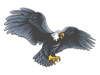 Eagle emblem isolated on white illustration. American eagle. Bird symbol of freedom and independence. Retro color logo of falcon.