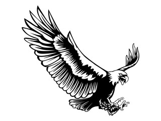 Eagle emblem isolated on white illustration. American eagle. Bird symbol of freedom and independence. Retro color logo of falcon.