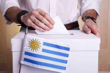 An Uruguayan citizen inserting a ballot into a ballot box. Uruguay flag in front of it