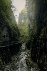 Gorges